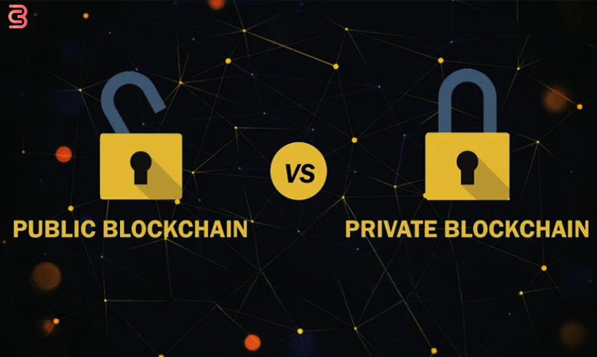 Public vs. Private Blockchains