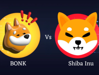 Shiba Inu vs BONK