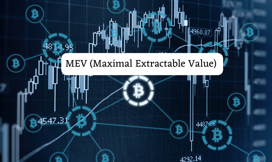 MEV (Maximal Extractable Value)