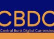 Central Bank Digital Currencies