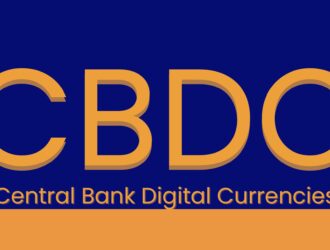 Central Bank Digital Currencies